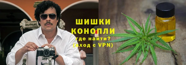 винт Алзамай