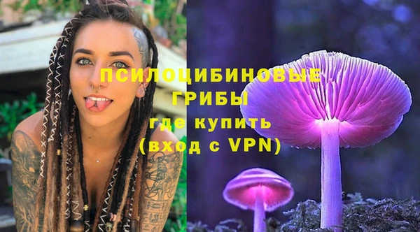 МДПВ Алексин
