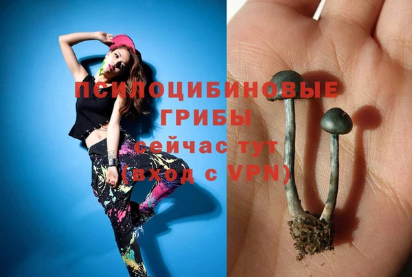 скорость Алексеевка