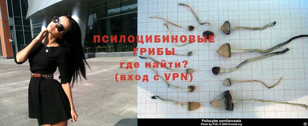 винт Алзамай