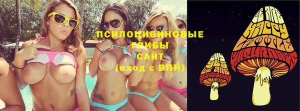 стаф Новодвинск
