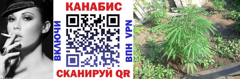 Бошки Шишки ГИДРОПОН  Щигры 